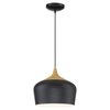 Access Lighting Blend, Pendant, Black Finish 52057-BL/WGN